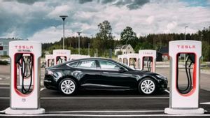 Menko Marves Bilang Tesla Sudah Teken Kontrak Pembelian Nikel Senilai Rp74,5 T