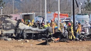 Families Of Victims Of Jeju Air Air Air Criminalize The Minister Of Transportation Of South Korea