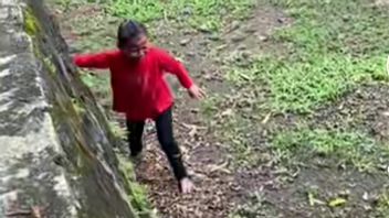 TMラグナ・イハルがゾウの檻に押し込まれた少年の説明