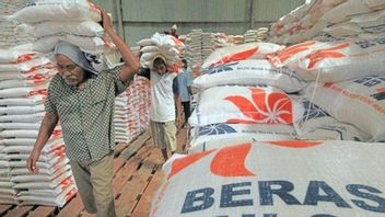 Stok Beras Melimpah, Ekspor Tetap Butuh Persetujuan Neraca Komoditas