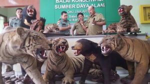 Tjahjo Kumolo Serahkan Semua Satwa Awetan ke Negara dalam Sejarah Hari Ini, 15 Februari 2016