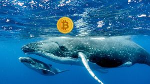 Diam-Diam <i>Whale</i> Ini Punya Bitcoin Lebih Banyak dari MicroStrategy