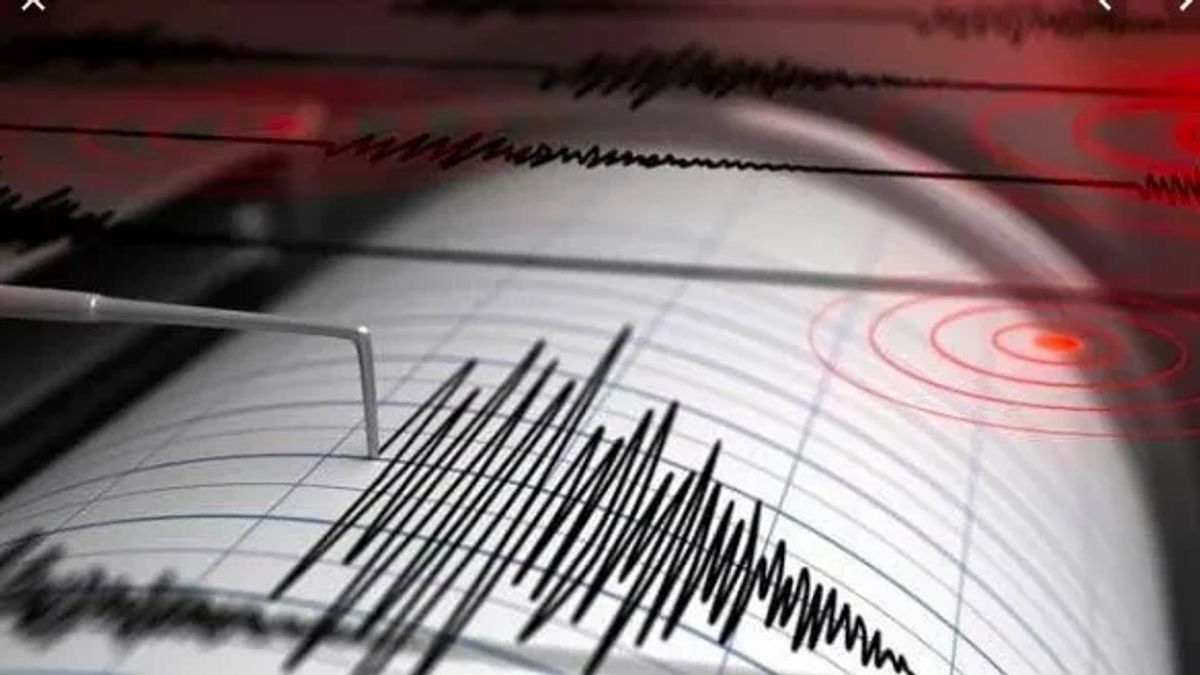 在被M 4.9地震震撼后，BMKG记录了查亚普拉发生的54次苏苏拉地震