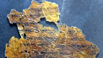 Two Thousand Year Old Dead Sea Scrolls Uncovered
