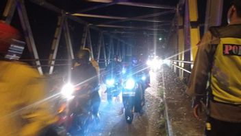 Ribuan Laron Ganggu Pengendara Arus Balik di Jembatan Serayu Banyumas