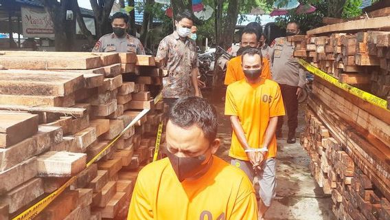 Polisi Jadi Tersangka Kepemilikan 245 Kayu Bulat Ilegal, Kena Pelanggaran Disiplin dan Pidana