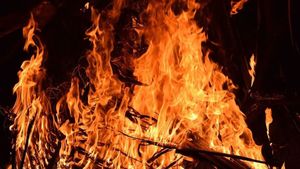 Satu Warga Alami Luka Bakar Akibat Kebakaran di Warakas Jakut