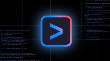 Google lance un agent clignotant pour développeurs