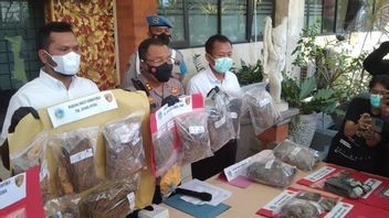 Circulating Marijuana, Japanese Citizen Arrested In Bali