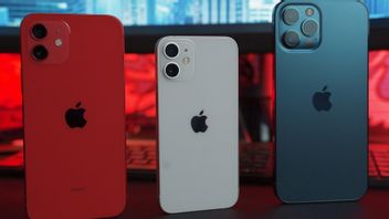 Kemenperin Catat Lebih dari 12.000 Unit iPhone Series Masuk RI Lewat Bea Cukai