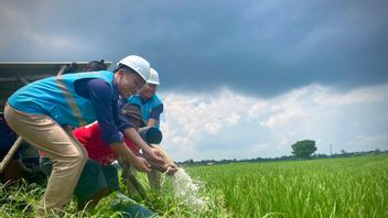مزارعو Pekalongan يوفرون ما يصل إلى 80 في المائة من التكاليف التشغيلية مع الزراعة المكهربة