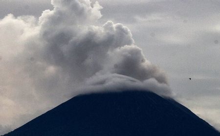 Tim DVI Identifikasi 28 dari 38 Jenazah Korban Erupsi Semeru, Jenazah Sudah Diambil Keluarga