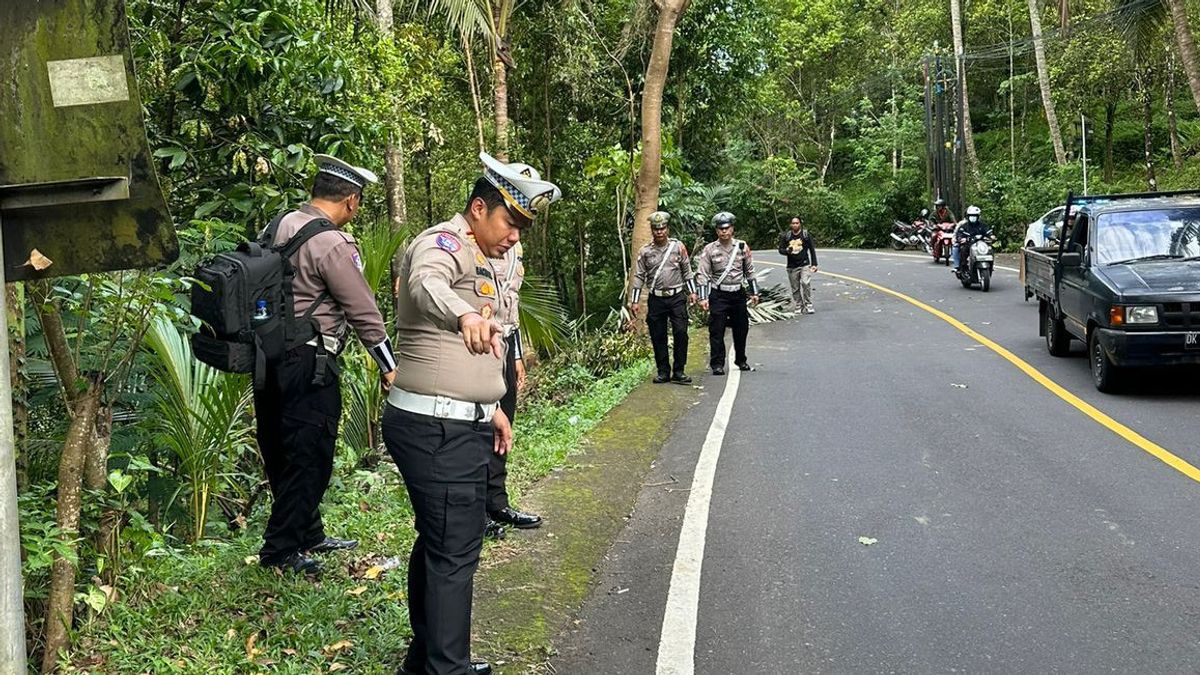 Kecelakaan Maut di Bali, 5 Wisatawan China Tewas, 8 Luka Ringan 