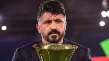 ガットゥーゾがイタリア代表チームの公式トレーニング、ブッフォン:最良の選択肢