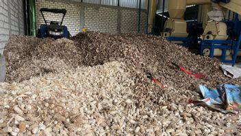 PLN Sulap Limbah Jagung Jadi Listrik, Petani Tuban Panen Penghasilan