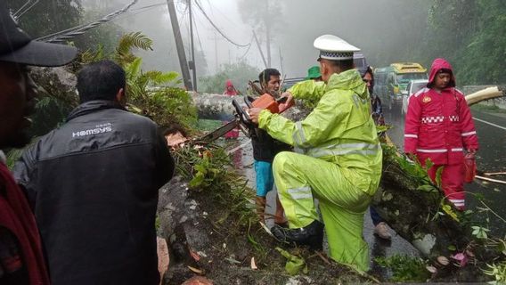 TNI-Polri Evakuasi Pohon Tumbang di Jalur Medan-Berastagi