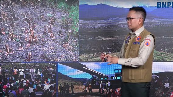 BNPB: Kekeringan di Papua Bukan karena Tidak Ada Hujan