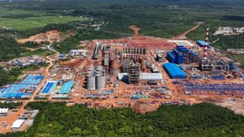 Luxury Bauxite Smelters Start Operating, PT BAI Review Exports To China To Europe