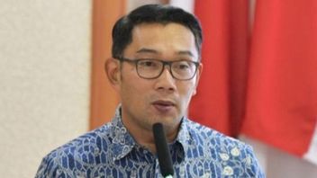 Ridwan Kamil Assessed As Moncer In DKI, Survey Of Indicators: Superior To Be Vice President And Cagub