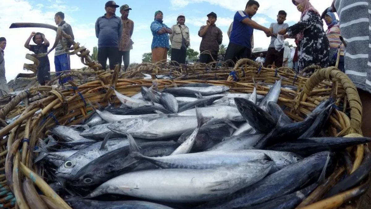 Trump Wins, Exports Of Indonesian Fisheries To The US Will Be Battered?