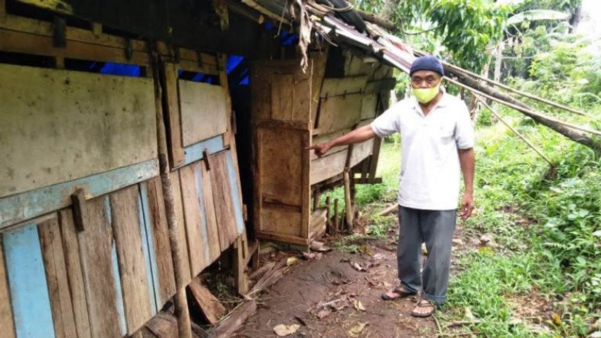 Ada 3 Ekor Harimau Berkeliaran di Palupuah Agam Memangsa Kambing Milik Peternak