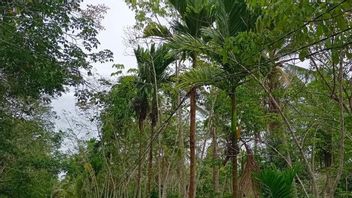 Kamu Harus Tahu, Warga di 2 Dusun di Kepulauan Meranti Riau Belum Bisa Nikmati Aliran Listrik