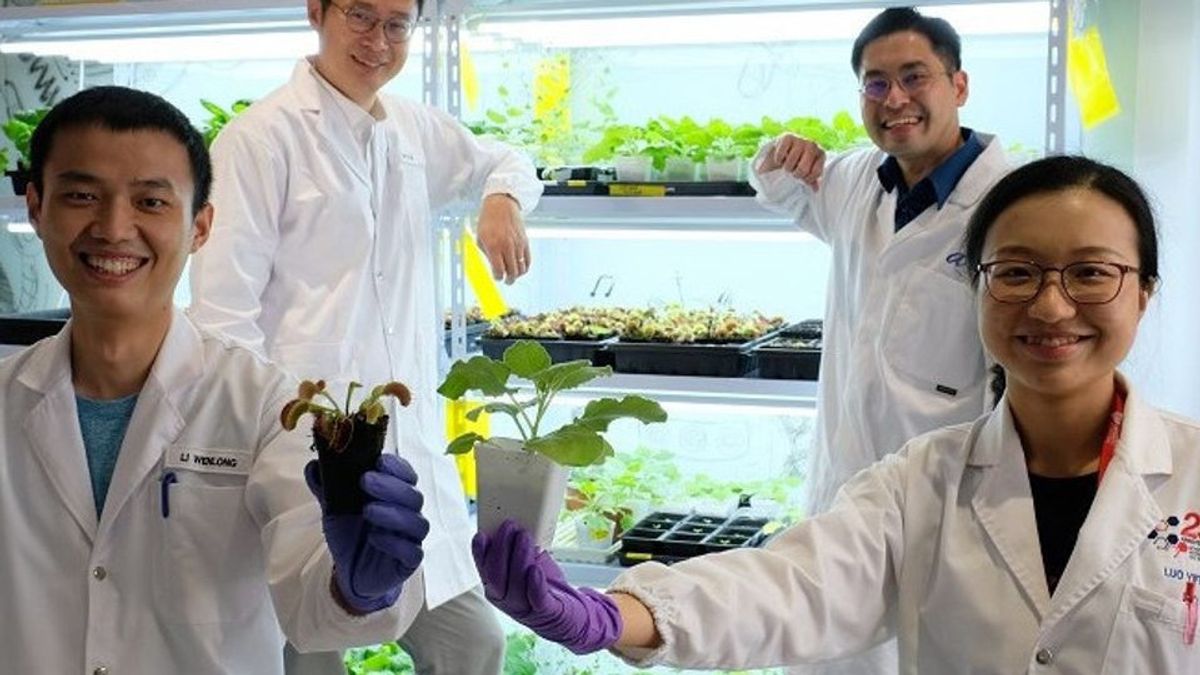 Temuan Peneliti: Cara Mengontrol Tanaman Venus Flytraps Pakai Smartphone