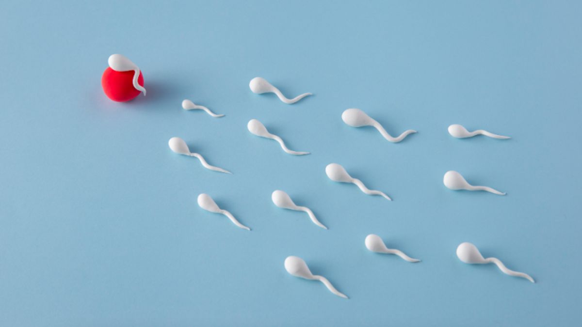 7 façons naturelles d’augmenter le nombre de spermes et de maintenir la fertilité masculine
