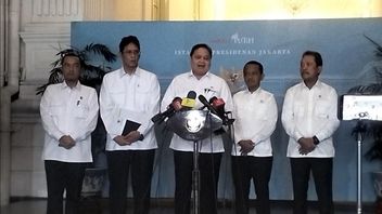 アイルランガ副首相:大統領は債務比率を40%に維持するよう要請