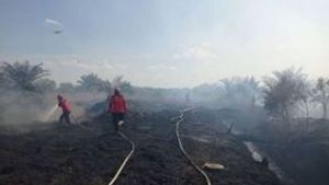 Petugas Gabungan Lakukan Pendinginan Karhutla di Inhil dan Inhu Riau