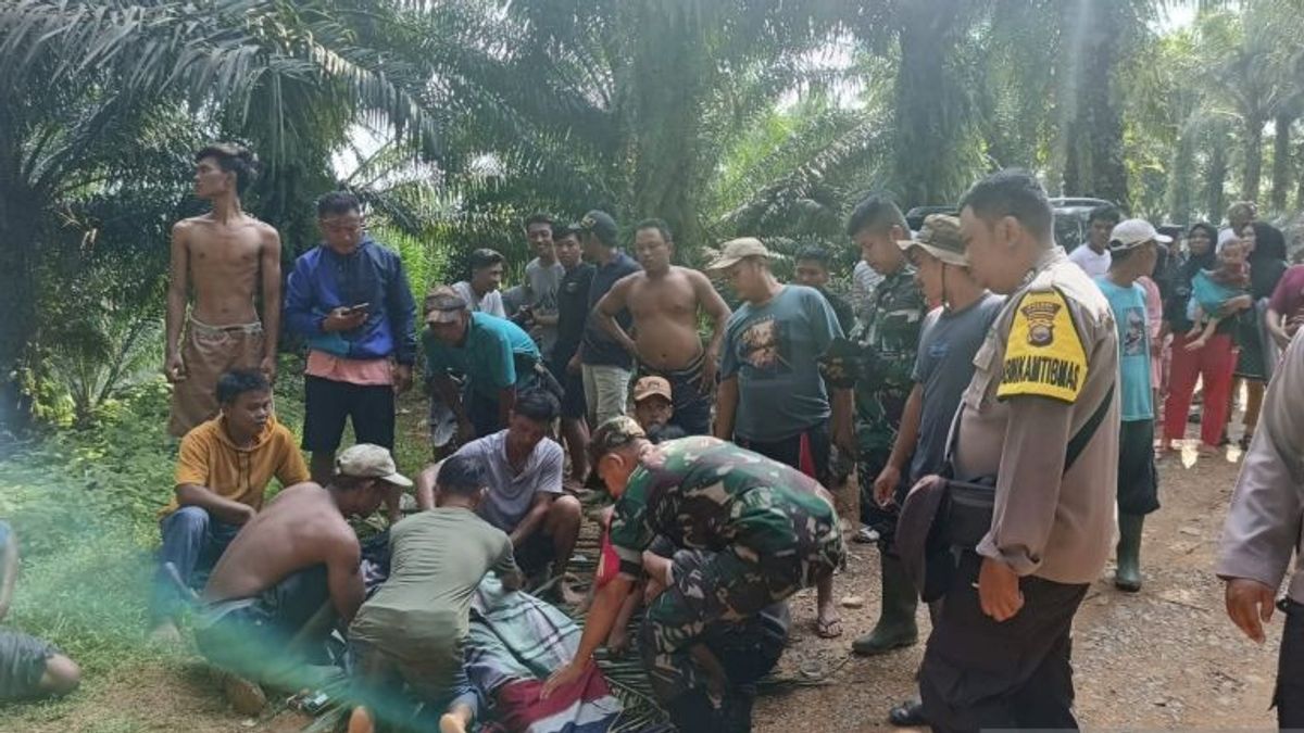 2 Tourist Attractions In Gajah Makmur Mukomuko Closed Due To Visitors Falling From Cliffs Of Falls