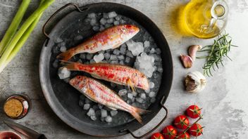 Consumption Of Fish Oil Is Useful To Prevent Cancer And Dementia