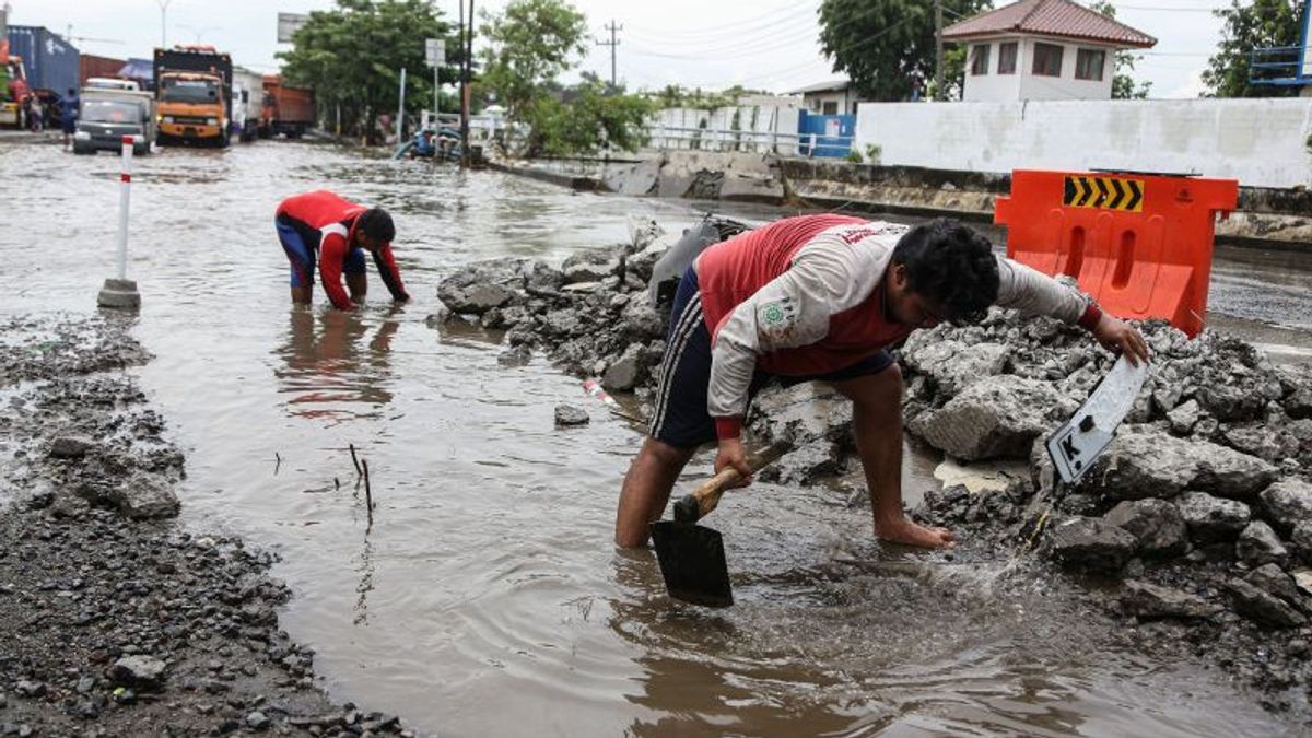 Kepala BMKG Ingatkan Waspada Potensi Banjir Rob di Pantura Saat Mudik