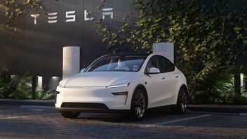 正式にはインド、テスラは直接最新のテスラモデルYを持ち込む
