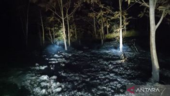 The Cause Of The 4 Hectare Land Fire In Semarang Is Still Being Investigated