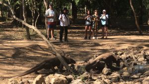 Sandi Uno Pastikan Tidak Ada Pembatalan ataupun Penundaan Biaya Kunjungan ke Taman Nasional Komodo Rp3,75 Juta per Orang