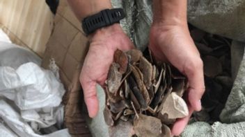 Kemenhut Tahan WNA terkait Penyelundupan 796 Kg Sisik Trenggiling