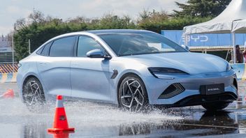 Suivi du Tesla Model 3, BYD expansion de la série Ocean au marché mexicain avec un modèle de seil