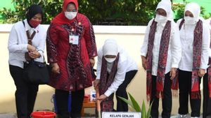 Ibu Negara Iriana Jokowi Bagikan Sembako dan Tanam pohon di Masaran Sragen