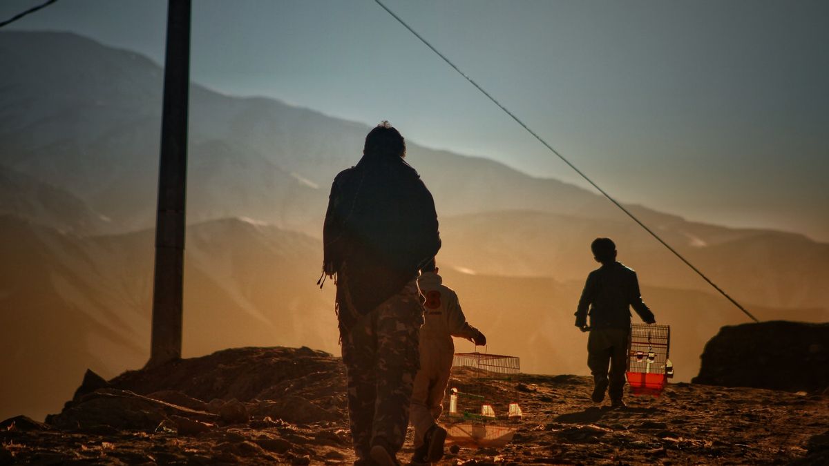 阿富汗官员向地震幸存者警告疾病暴发