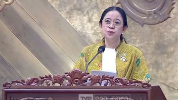 Puan Maharani Says Adies Kadir Is Active Again As Deputy Speaker Of The DPR