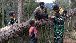 Dibantu Satgas Mobile Raider 300/Braja Wijaya, 15 Rumah Warga Distrik Sinak di Papua Tengah Sudah Dialiri Listrik