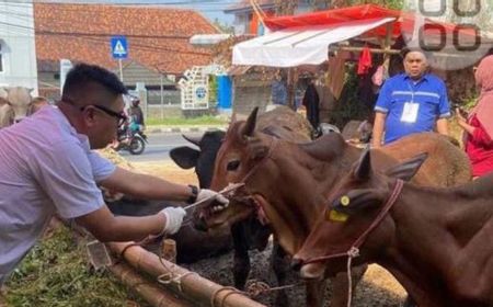 Disnakeswan Lebak Temukan Lima Ekor Ternak Sakit Mulut dan Mata