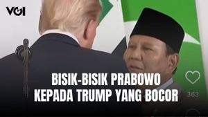 Pembicaraan Prabowo kepada Trump Bocor, Ingin Bertemu Eric Trump, Menlu Sugiono: Keduanya Berteman