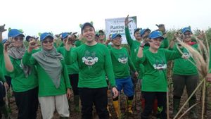 Cegah Abrasi Pantai KSS, Tata Metal Lestari dan Kemenperin Tanam 661 Mangrove