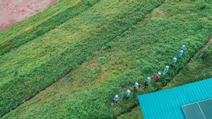 PTPP Terapkan Inovasi Hydroseeding di Proyek Bendungan Bagong Trenggalek