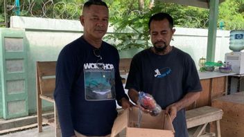 L’unité d’enquête sur le navire arrivant au port de Ternate, la BKSDA stocke des voleurs dans des bouteilles minérales