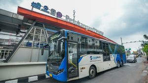 Tak Cuma Jadi Nama Halte, d'Masiv Juga Pengisi Voice Announcer Halte Transjakarta Petukangan  