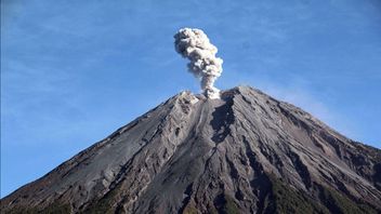 Gunung Semeru Erupsi Tiga Kali, Ketinggian Letusannya Capai 1 Km