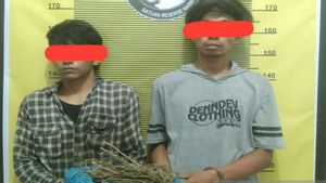 2 Petani Miliki Ganja 210 Gram Ditangkap di Tapanuli Tengah